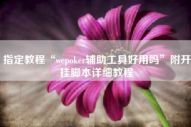 指定教程“wepoker辅助工具好用吗”附开挂脚本详细教程