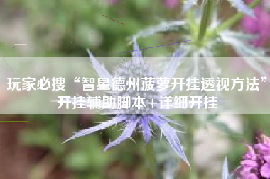 玩家必搜“智星德州菠萝开挂透视方法”开挂辅助脚本+详细开挂