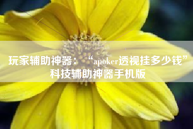 玩家辅助神器：“apoker透视挂多少钱”科技辅助神器手机版