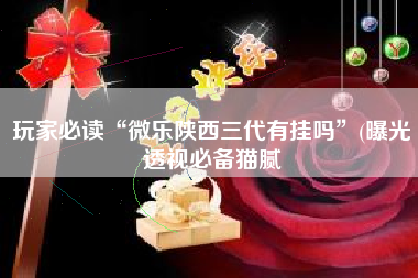 玩家必读“微乐陕西三代有挂吗	”(曝光透视必备猫腻