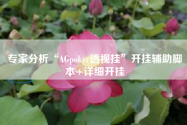 专家分析“AGpoker透视挂	”开挂辅助脚本+详细开挂