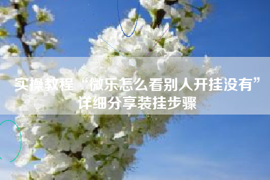 实操教程“微乐怎么看别人开挂没有	”详细分享装挂步骤