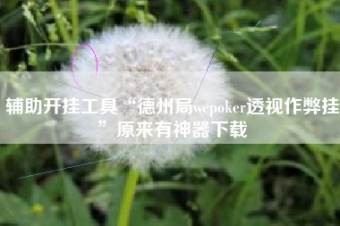 辅助开挂工具“德州局wepoker透视作弊挂”原来有神器下载