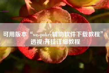 可用版本“we-poker辅助软件下载教程”(透视)开挂详细教程
