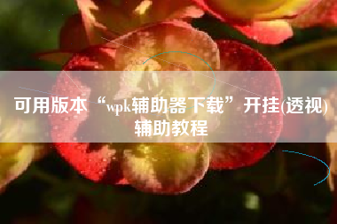 可用版本“wpk辅助器下载”开挂(透视)辅助教程
