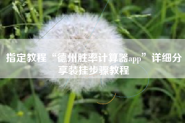 指定教程“德州胜率计算器app”详细分享装挂步骤教程