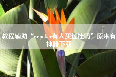 教程辅助“wepoker有人买过挂吗	”原来有神器下载