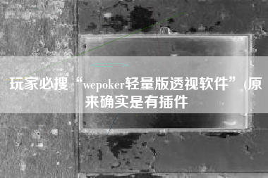 玩家必搜“wepoker轻量版透视软件”(原来确实是有插件
