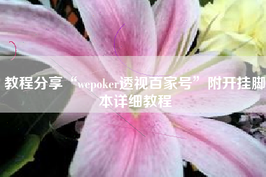 教程分享“wepoker透视百家号”附开挂脚本详细教程