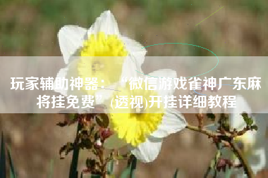 玩家辅助神器：“微信游戏雀神广东麻将挂免费”(透视)开挂详细教程